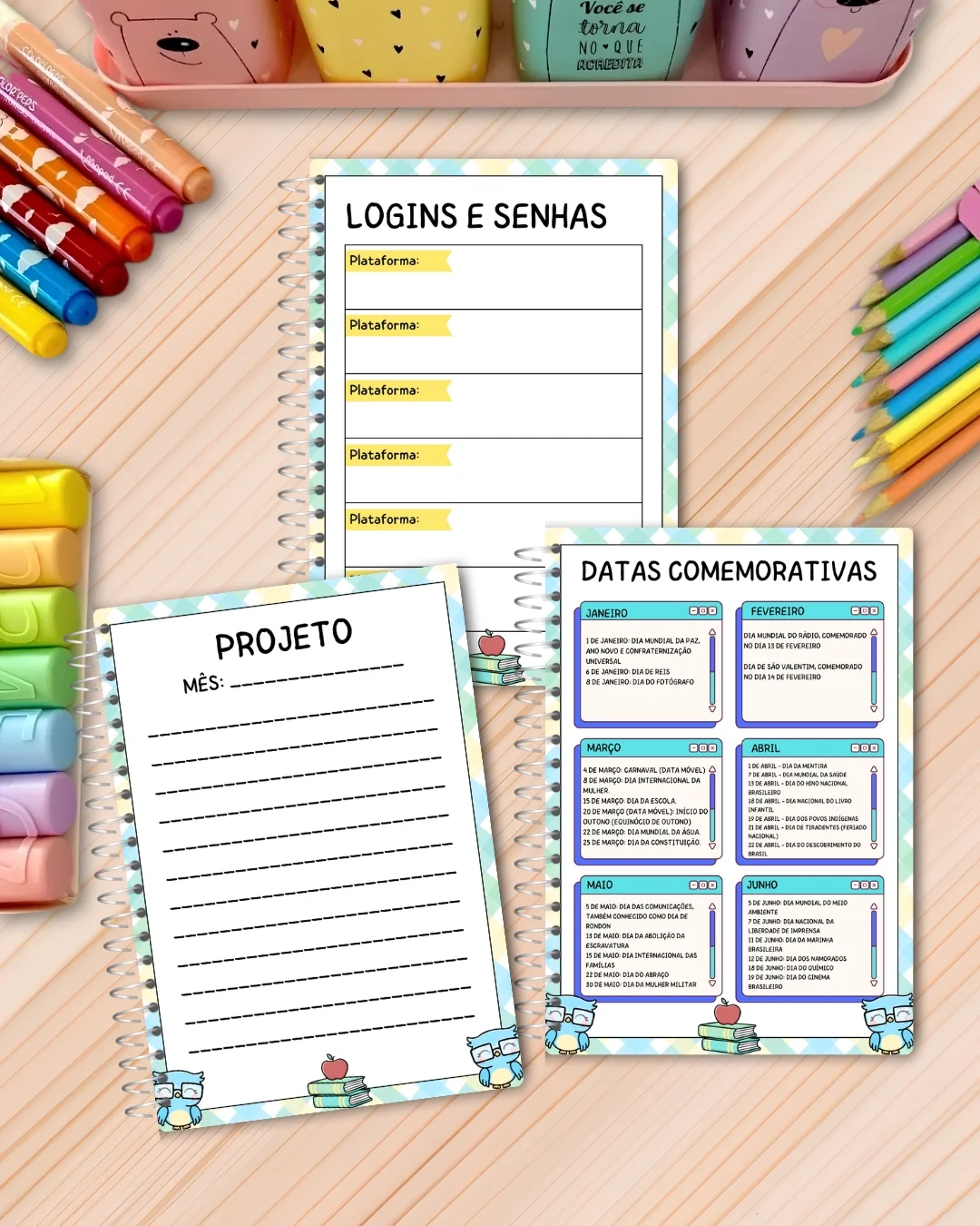 PLANNER DO DIRETOR 2027 – ORGANIZAÇÃO COMPLETA — amostra 2: Organize sua rotina escolar com muito mais praticidade PLANNER DO DIRETOR 2027 – ORGANIZAÇÃO COMPLETA — amostra 2: Organize sua rotina escolar com muito mais praticidade