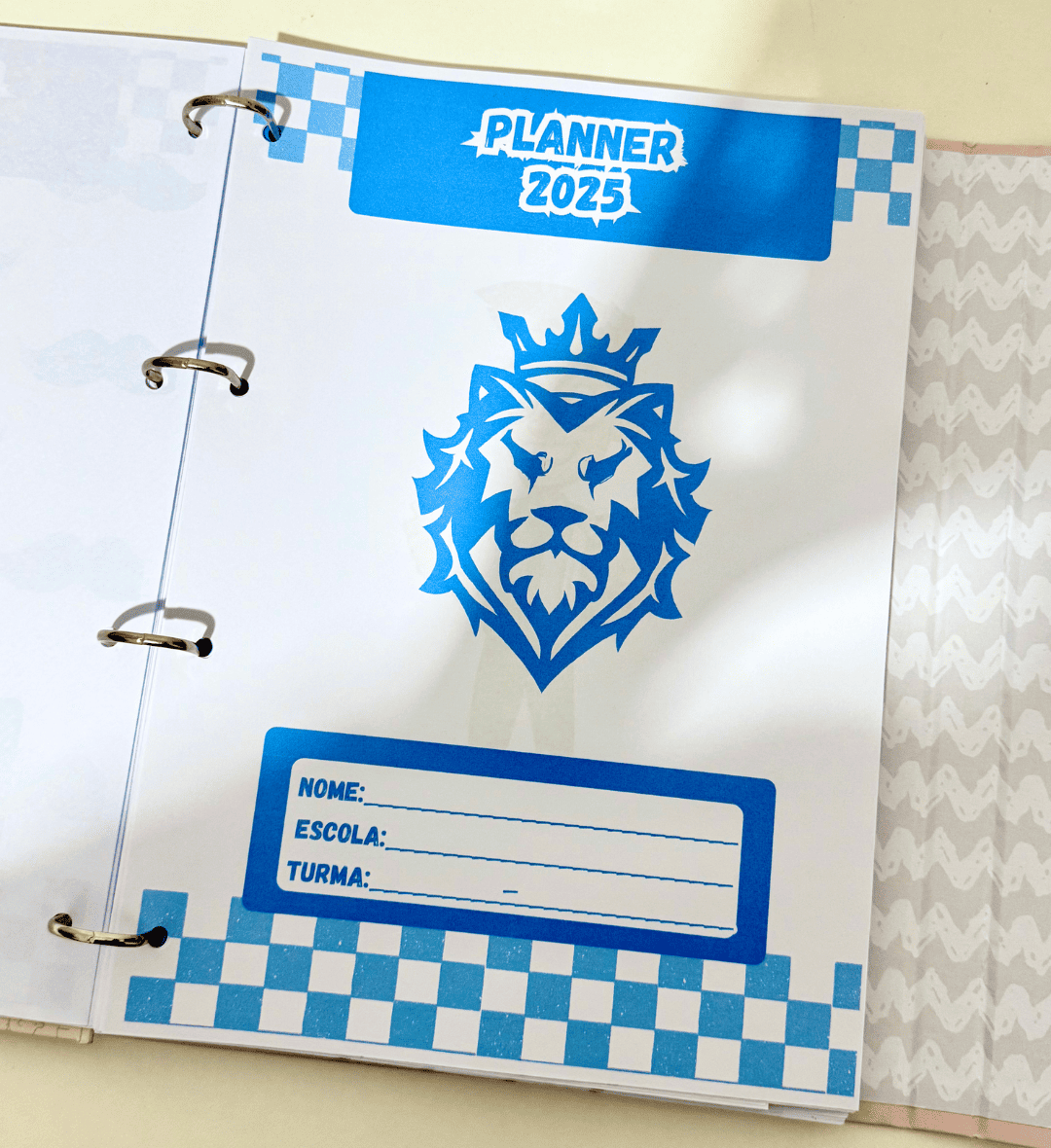 Planner do Professor 2025 em PDF para Imprimir e Organizar — amostra 2: O que vem no material
