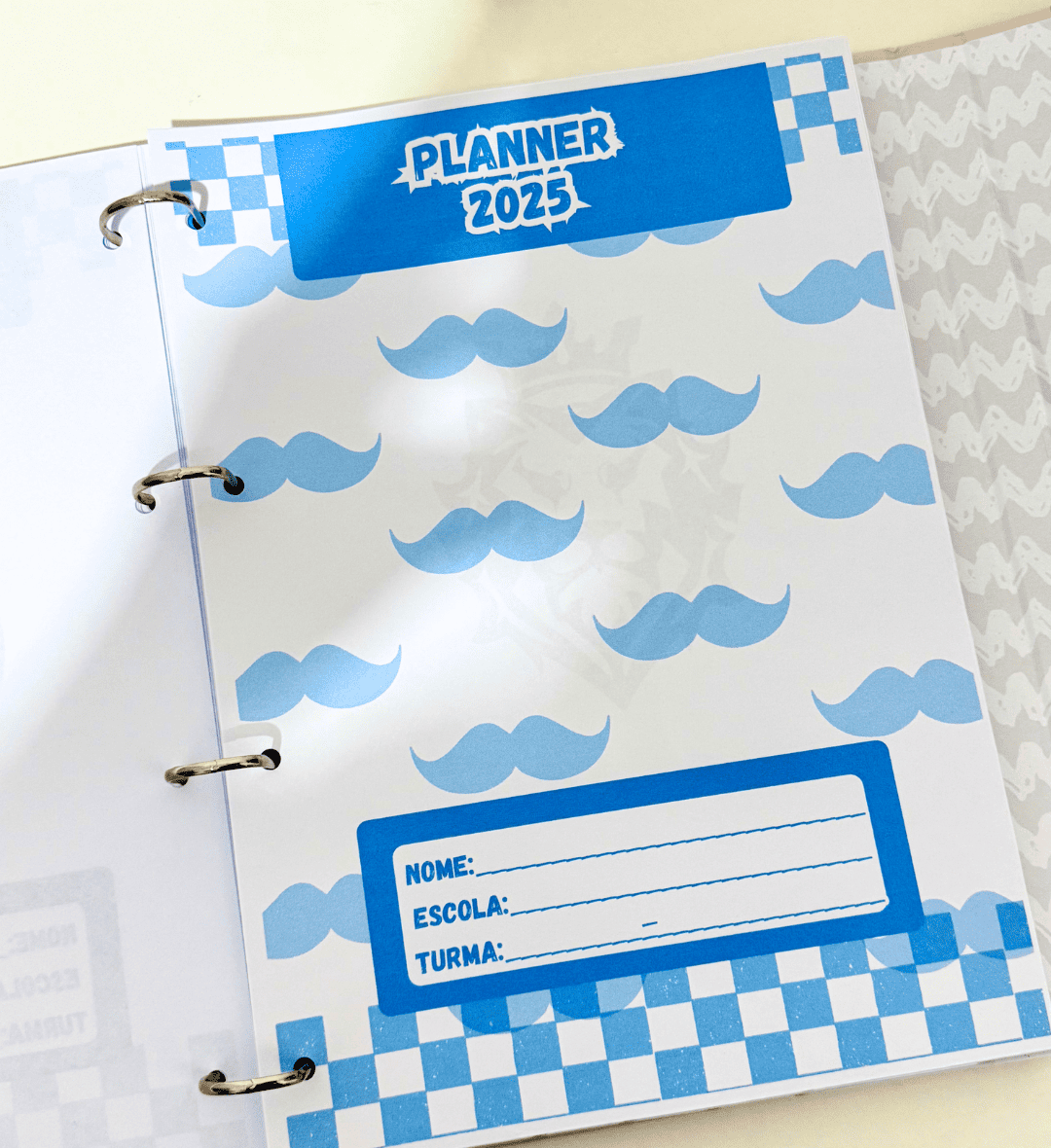 Planner do Professor 2025 em PDF para Imprimir e Organizar — amostra 3: Como usar na escola