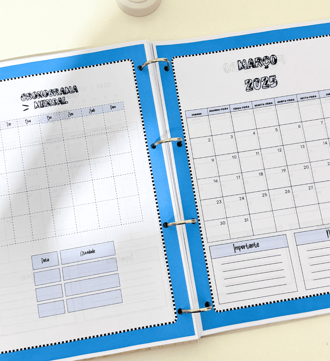 Planner do Professor 2025 em PDF para Imprimir e Organizar — amostra 4: Para quem é indicado