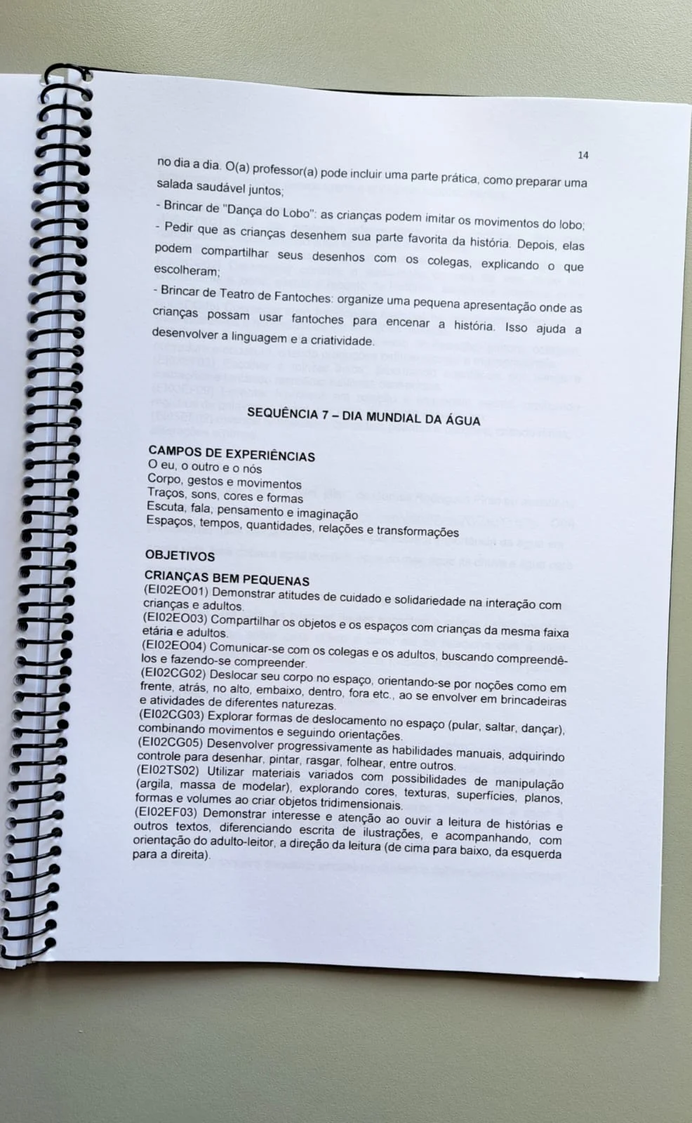 Plano de aula educação infantil — amostra 5: 📚 30 PLANOS DE AULA PARA EDUCAÇÃO INFANTIL – COM BNCC Chega de perder horas…