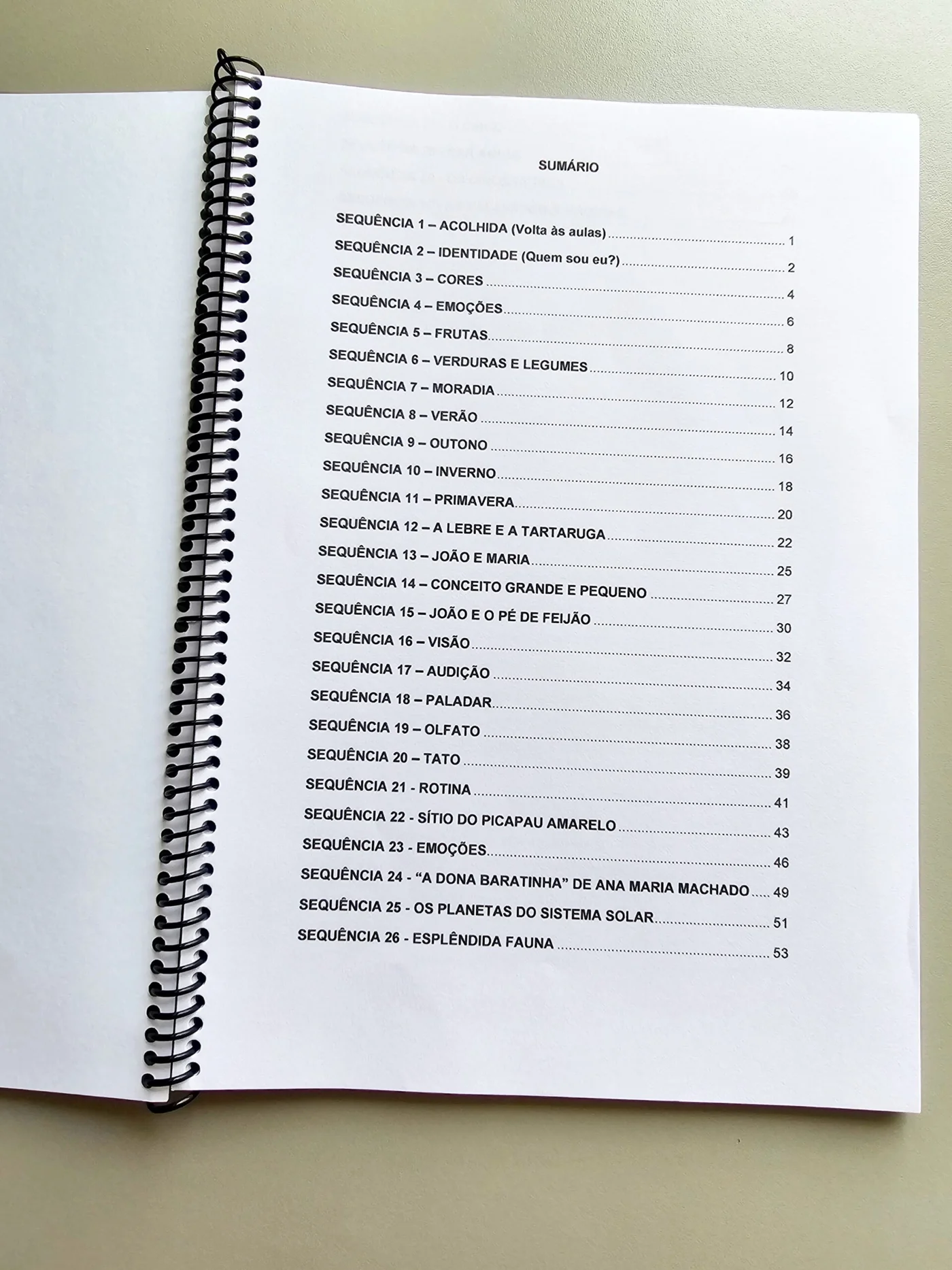 Plano de aula para educação infantil volume 2 — amostra 2: 🚨 Professora da Educação Infantil, atenção