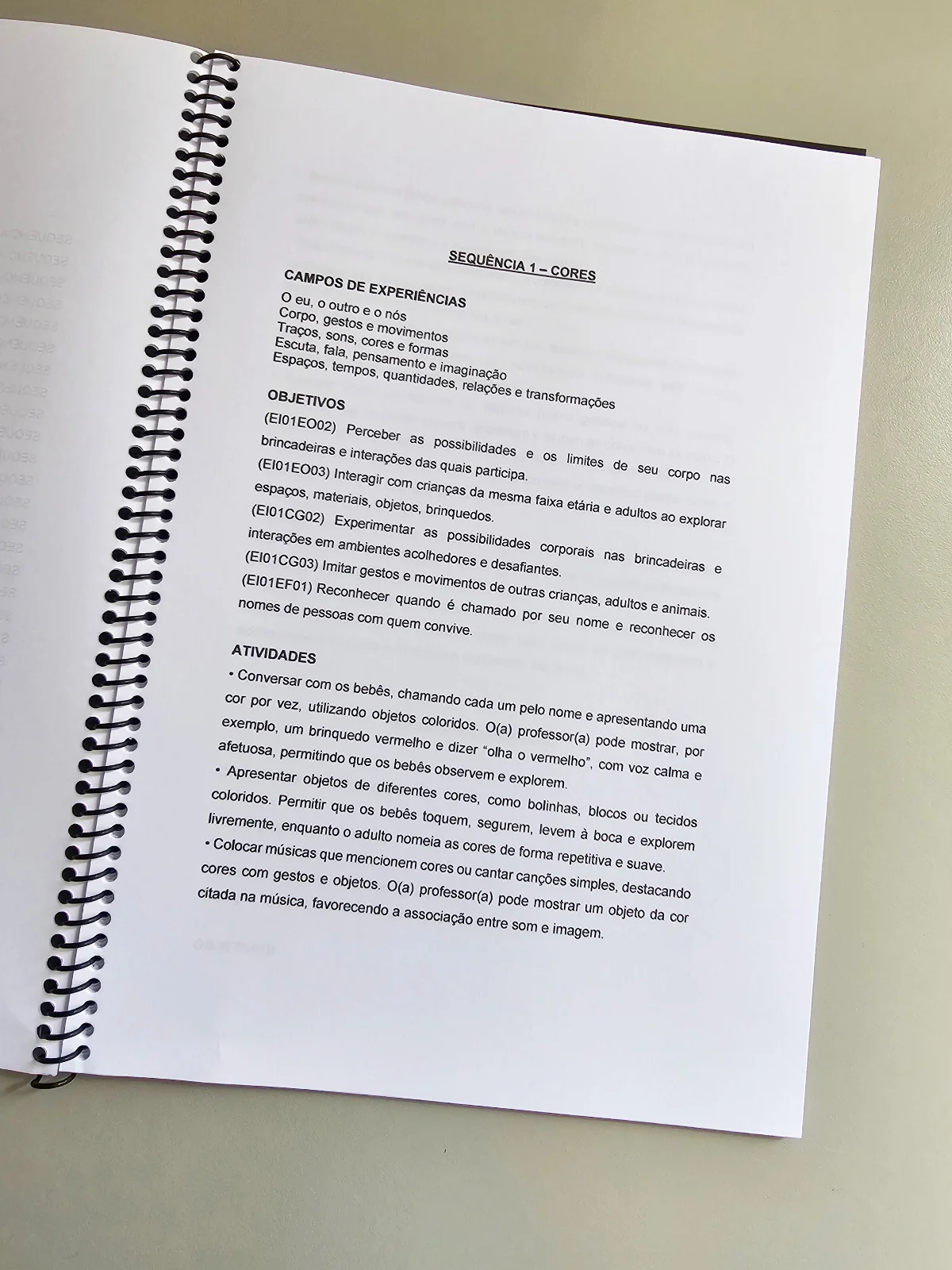 Planos de Aula para Bebês com Códigos da BNCC - vol. 2 — amostra 1: Pensado especialmente para educadores da Educação…