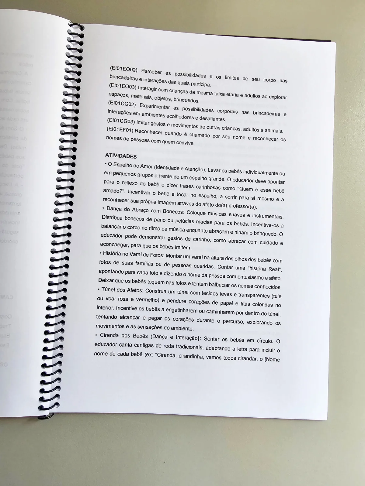 Planos de Aula para Bebês com Códigos da BNCC - vol. 2 — amostra 2: Pensado especialmente para educadores da Educação…