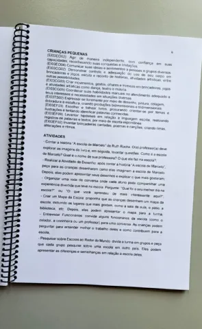 Planos de Aula Para Educação Infantil ( 2 A 5 Anos de Idade) — amostra 1: São 30 planos de aula prontos alinhados à BNCC…