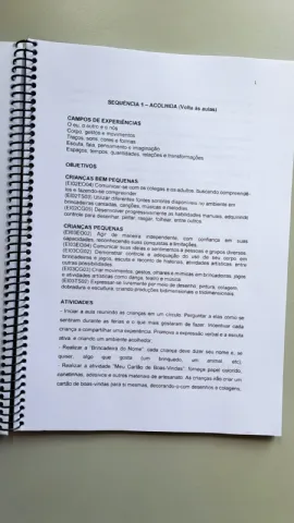 Planos de Aula Para Educação Infantil ( 2 A 5 Anos de Idade) — amostra 2: São 30 planos de aula prontos alinhados à BNCC…