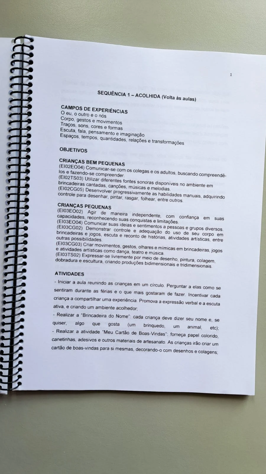 🌈📚 PLANOS DE AULA PARA EDUCAÇÃO INFANTIL – COM CÓDIGOS DA BNCC — amostra 2: Tenha em mãos um material completo para…