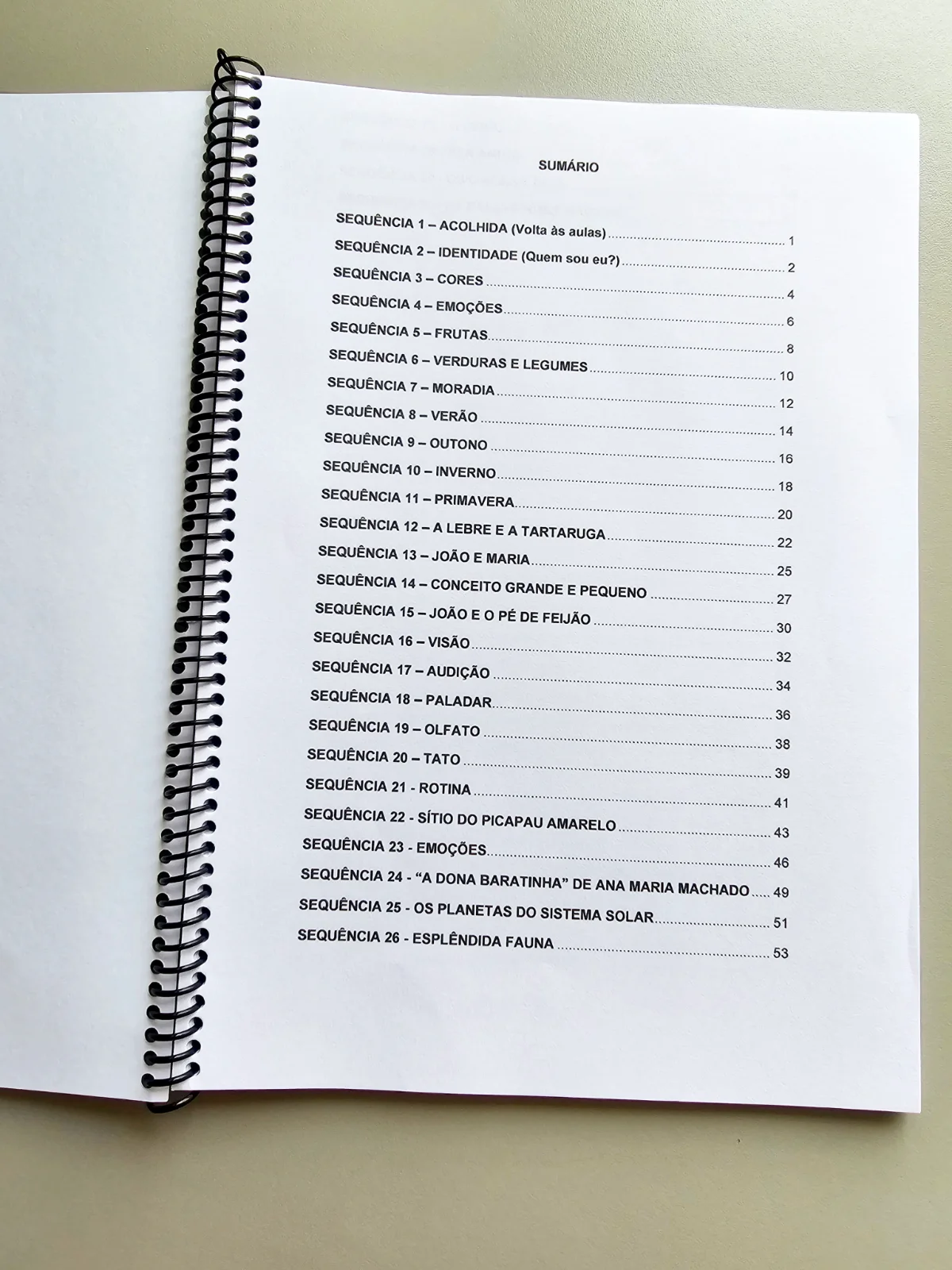 Planos de Aula para Educação Infantil Vol.2 — amostra 4: Planos de aula prontos , incluindo códigos da BNCC, ideal para…