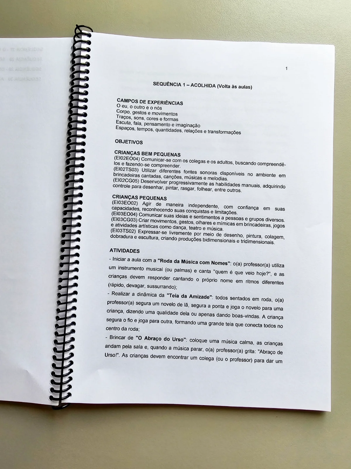 Planos de Aula para Educação Infantil Vol.2 — amostra 6: Planos de aula prontos , incluindo códigos da BNCC, ideal para…