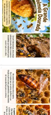 Poema infantil sobre abelhas e curiosidades para imprimir — capa do material