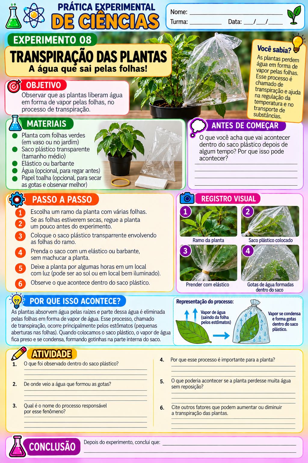 Prática Experimental de Ciências: 10 Experimentos para Imprimir — amostra 7: 10 atividades práticas de Ciências com… Prática Experimental de Ciências: 10 Experimentos para Imprimir — amostra 7: 10 atividades práticas de Ciências com…
