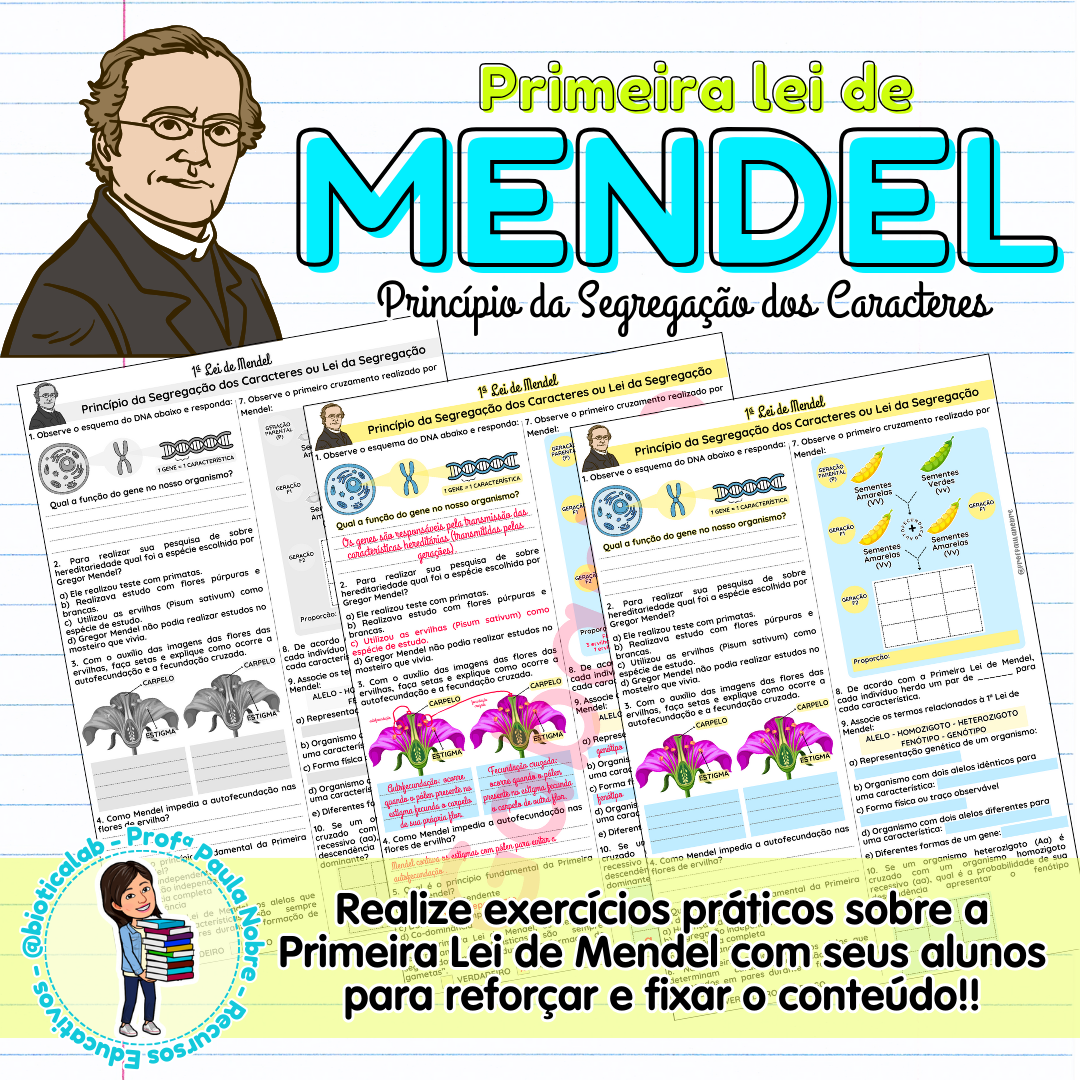 Primeira Lei de Mendel – PDF para Imprimir — capa do material