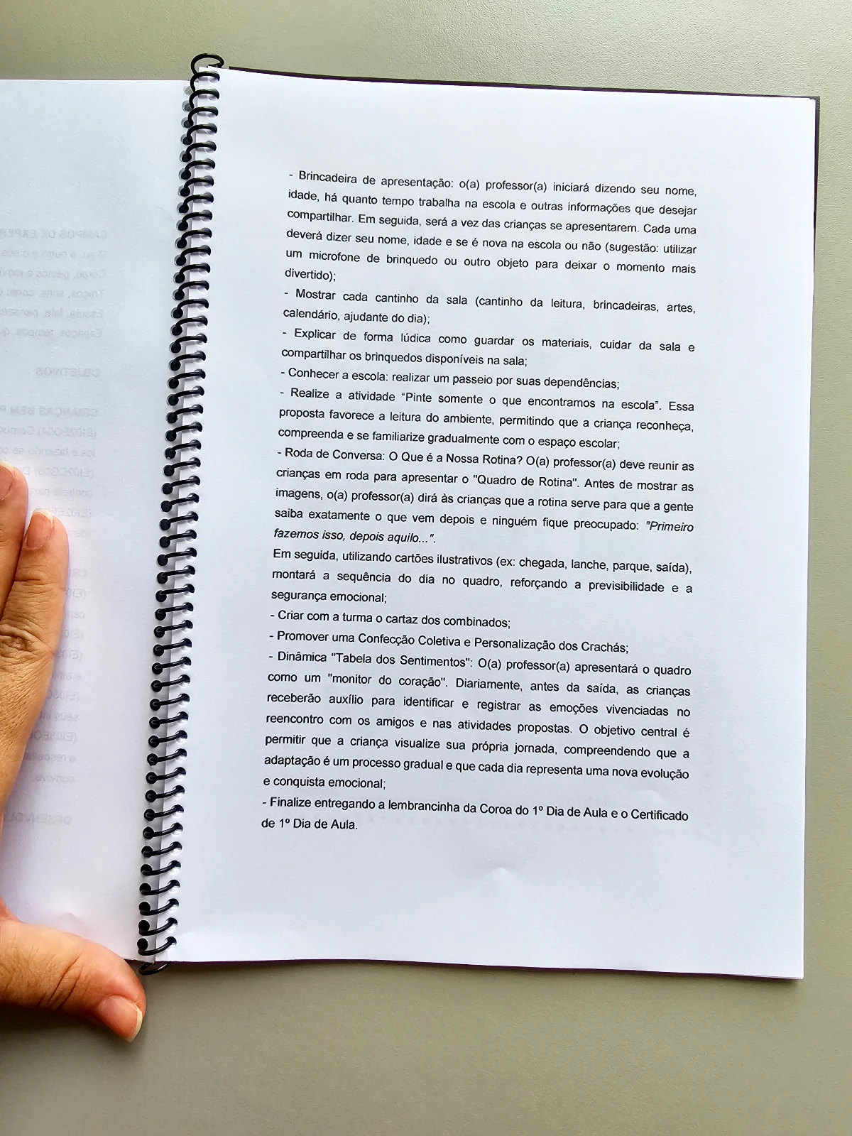 Projeto Acolhida – 30 Páginas com BNCC — amostra 4: Projeto completo para trabalhar a acolhida e adaptação escolar de forma…