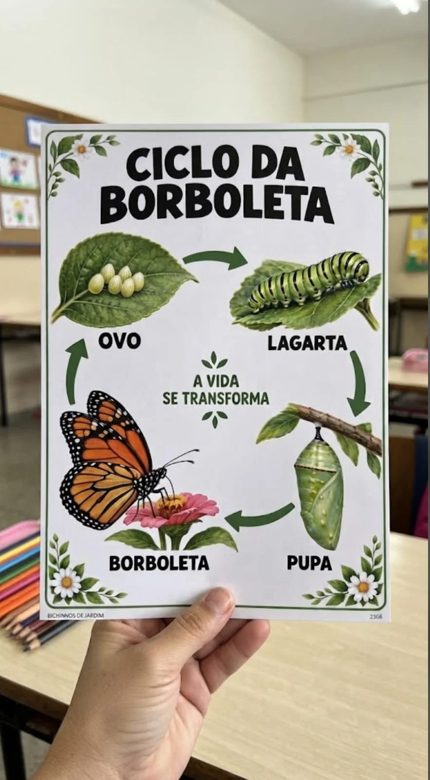 Projeto Bichinhos de Jardim Educação Infantil — amostra 4: Projeto Bichinhos de Jardim para Educação Infantil, com…