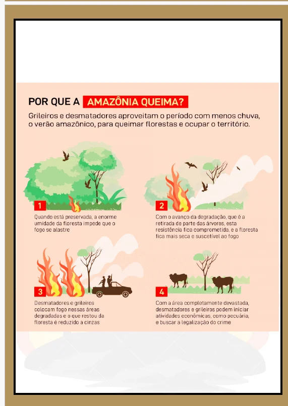 PROJETO DESMATAMENTO E QUEIMADAS –ANOS INICIAIS CIÊNCIAS🌎💚 — amostra 1: Projeto Desmatamento e Queimadas é um material…