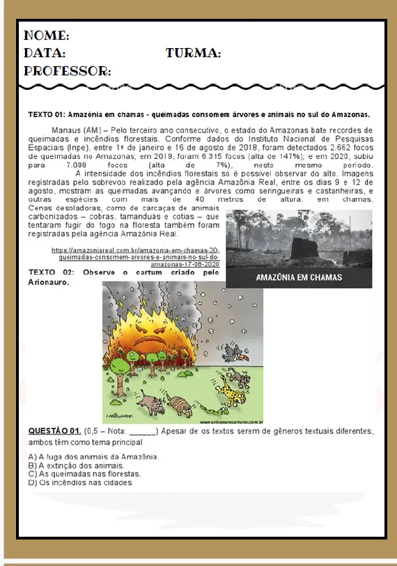 PROJETO DESMATAMENTO E QUEIMADAS –ANOS INICIAIS CIÊNCIAS🌎💚 — amostra 3: Projeto Desmatamento e Queimadas é um material…