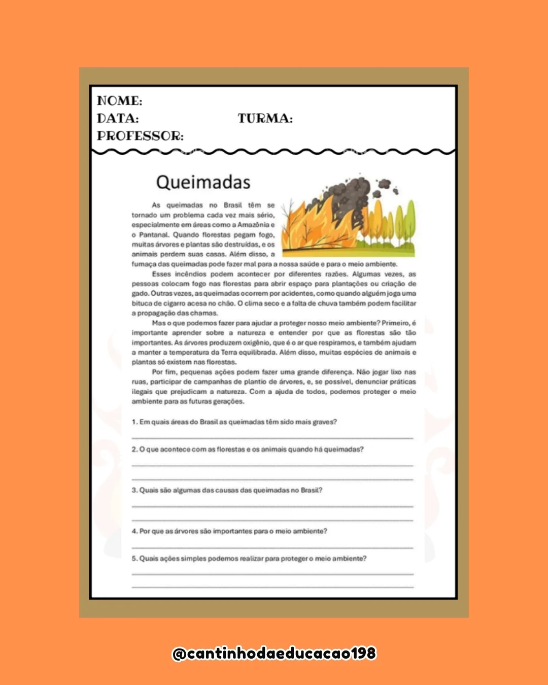 Projeto desmatamentos e queimadas – PDF para Imprimir — amostra 4: Material completo e pronto para uso