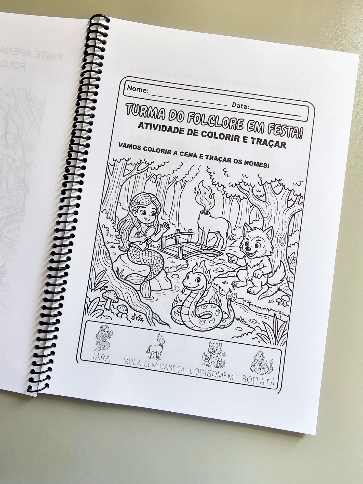 Projeto Folclore para Educação Infantil — amostra 3: Projeto completo sobre o folclore brasileiro (40 páginas), com…