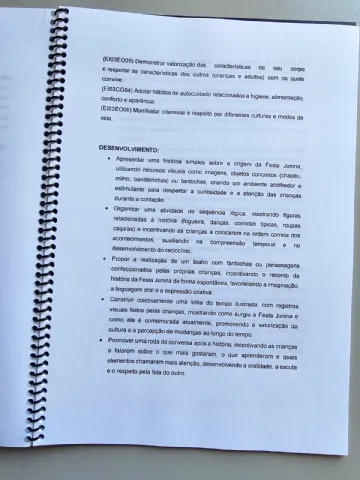 Projeto Junino para Educação Infantil – Completo e Pronto para Usar — amostra 2: Projeto Junino para Educação Infantil…