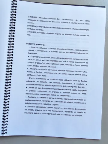 Projeto Junino para Educação Infantil – Completo e Pronto para Usar — amostra 4: Projeto Junino para Educação Infantil…