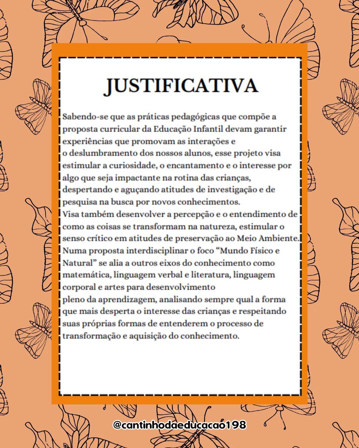 Projeto – metamorfose da borboleta – Material Pedagógico — amostra 1: O que vem no material
