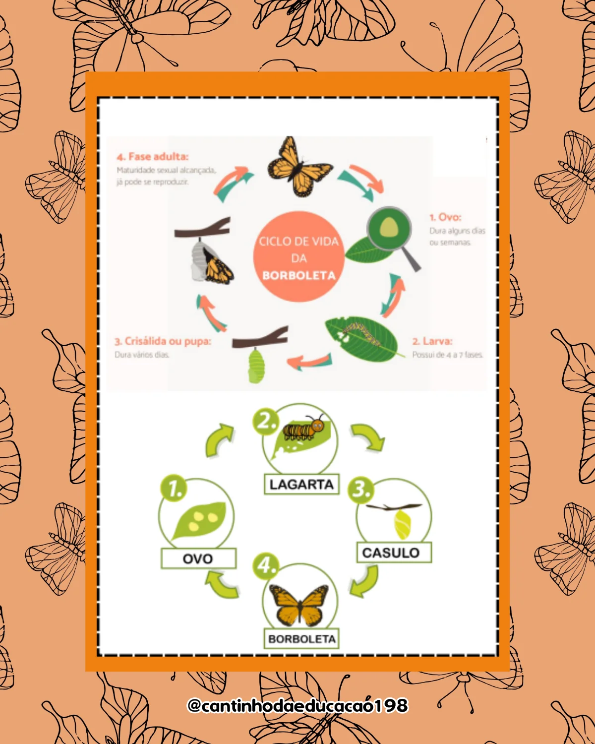 Projeto – metamorfose da borboleta – Material Pedagógico — amostra 4: Um projeto encantador para explorar de forma lúdica o…
