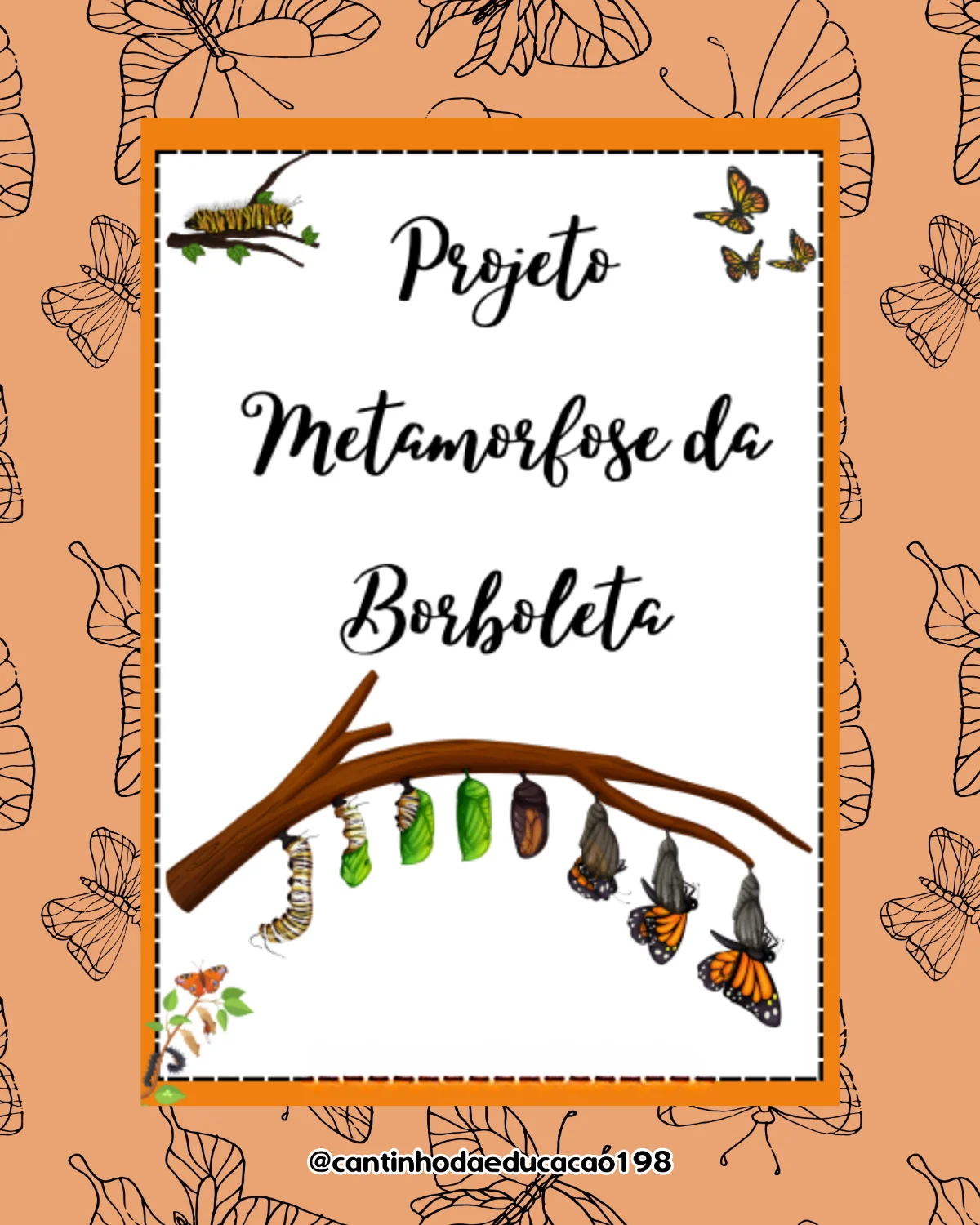 Projeto – metamorfose da borboleta – Material Pedagógico — Ciências para Todas as séries: Um projeto encantador para…