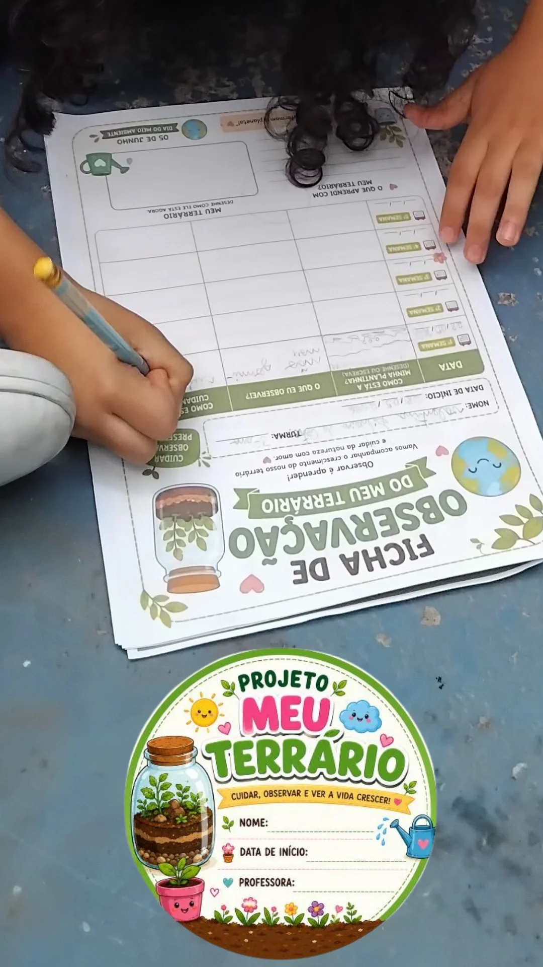 PROJETO MEU TERRÁRIO PLANTANDO A SEMENTE DO COENTRO. — amostra 5: PROJETO PARA O DIA DO MEIO AMBIENTE