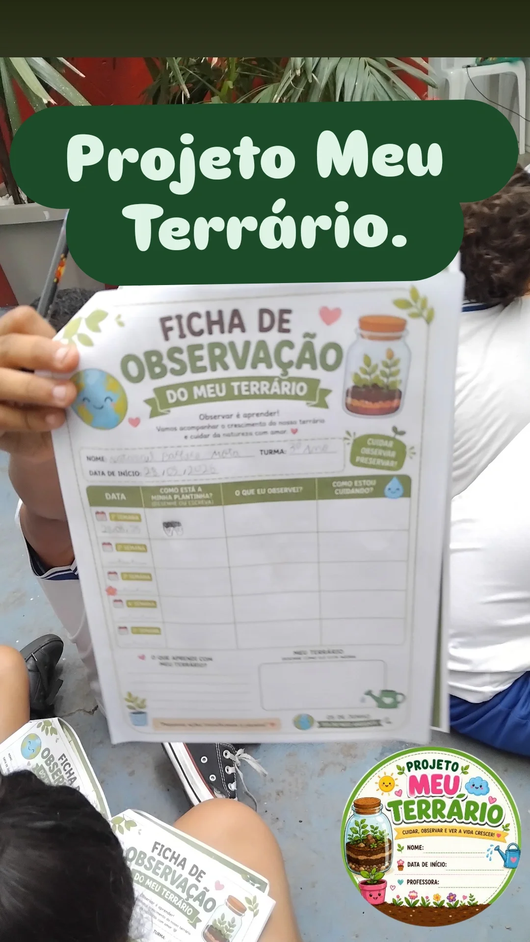 PROJETO MEU TERRÁRIO PLANTANDO A SEMENTE DO COENTRO. — amostra 6: PROJETO PARA O DIA DO MEIO AMBIENTE