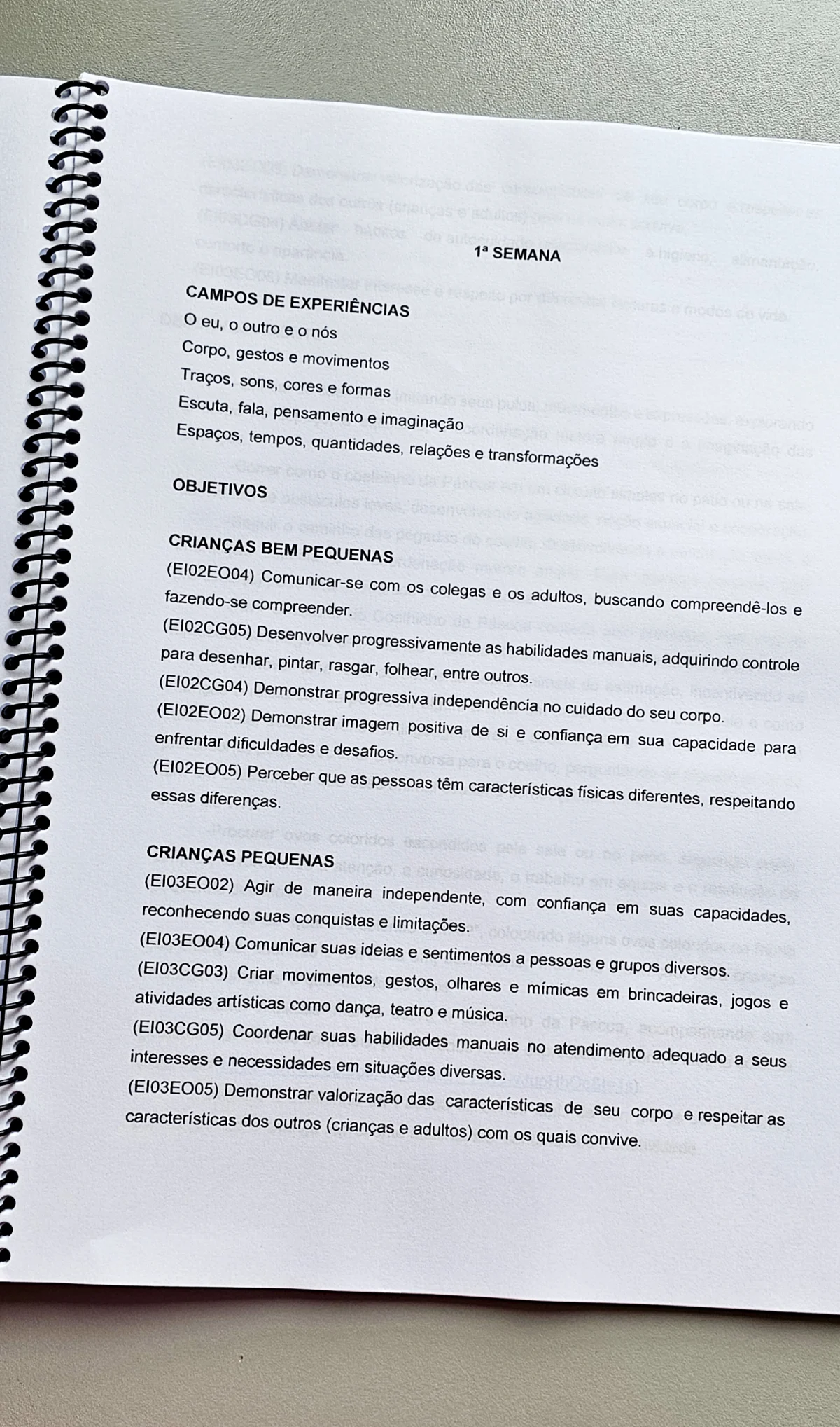 Projeto Páscoa – Educação Infantil | PDF — amostra 1: Material completo para trabalhar a Páscoa de forma lúdica, criativa e…