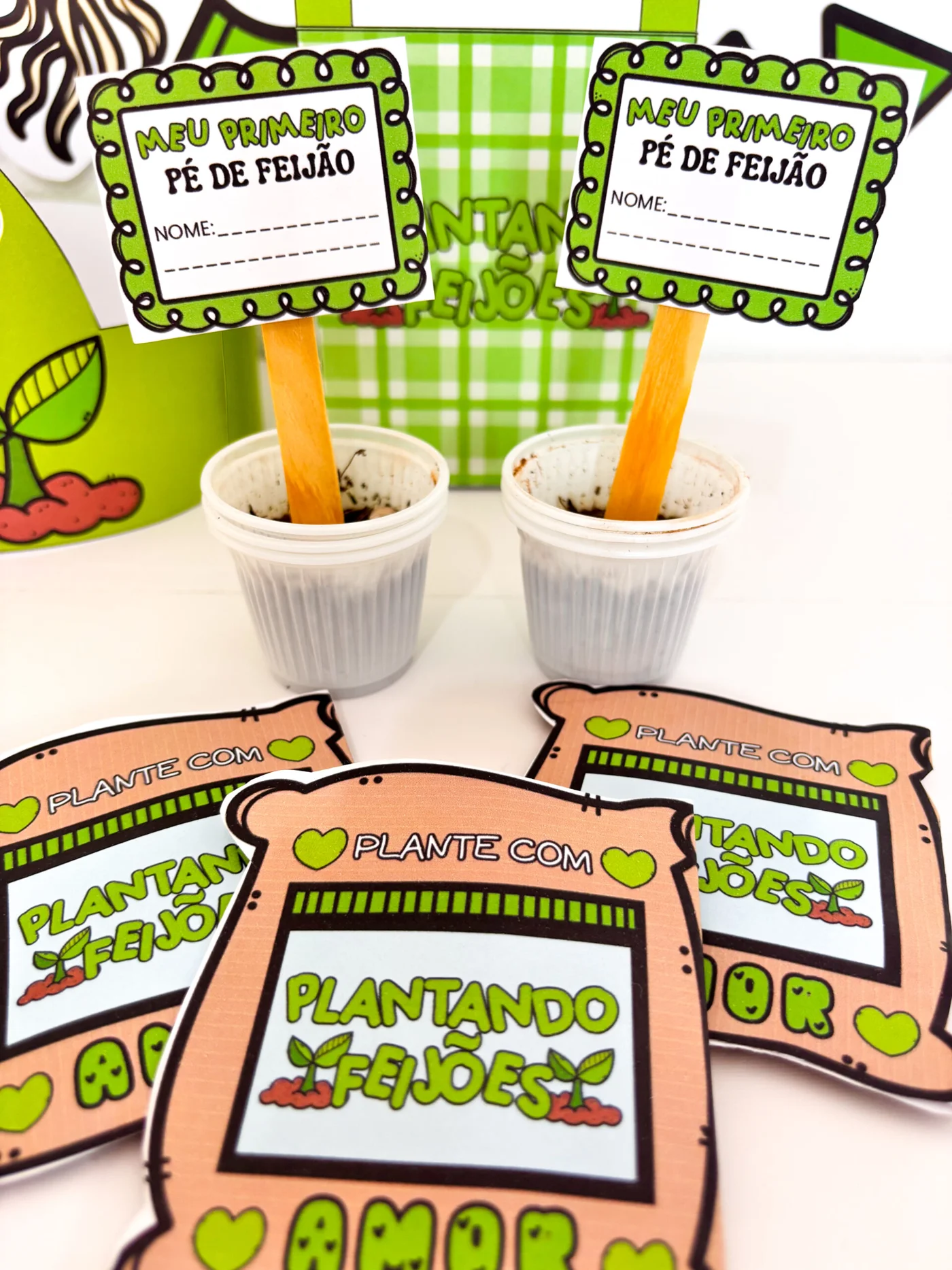 Projeto plantando feijões — amostra 5: Transforme sua sala em um verdadeiro laboratório da infância