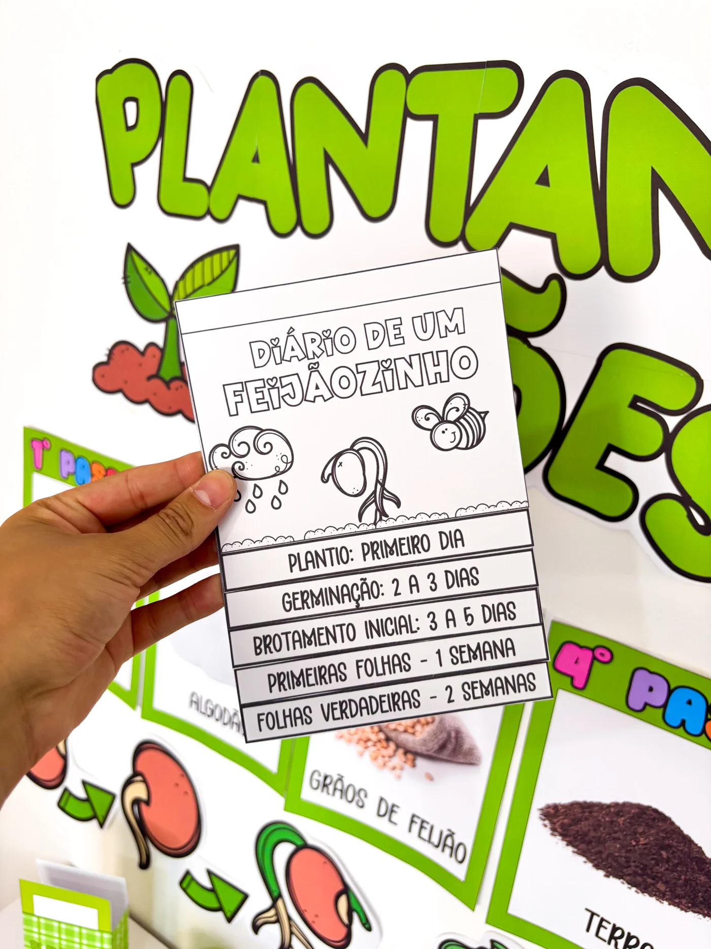 Projeto plantando feijões — amostra 7: Transforme sua sala em um verdadeiro laboratório da infância