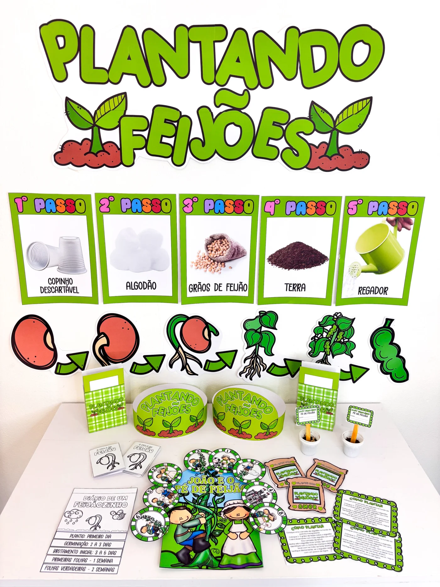 Projeto plantando feijões — amostra 8: Transforme sua sala em um verdadeiro laboratório da infância
