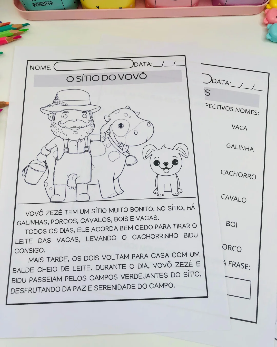Sequência Didática O Sítio do Vovô — 2º ano — Alfabetização para Educação Infantil: Um recurso prático e divertido para…