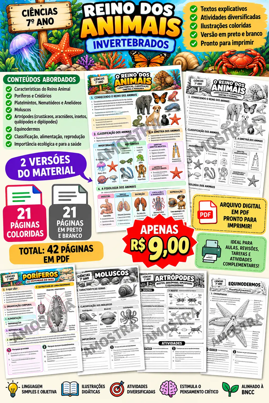 📚🐙🦋 SEQUÊNCIA DIDÁTICA – REINO DOS ANIMAIS INVERTEBRADOS 🐌🕷️🦀 — Ciências para Todas as séries: Um material completo…
