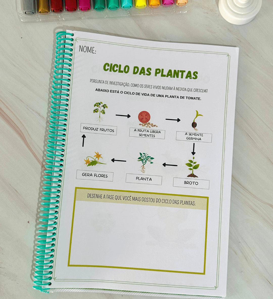 Sequência Temporal: Ciclo da Vida em PDF para Imprimir — amostra 1: Sequência temporal para explorar o ciclo da vida