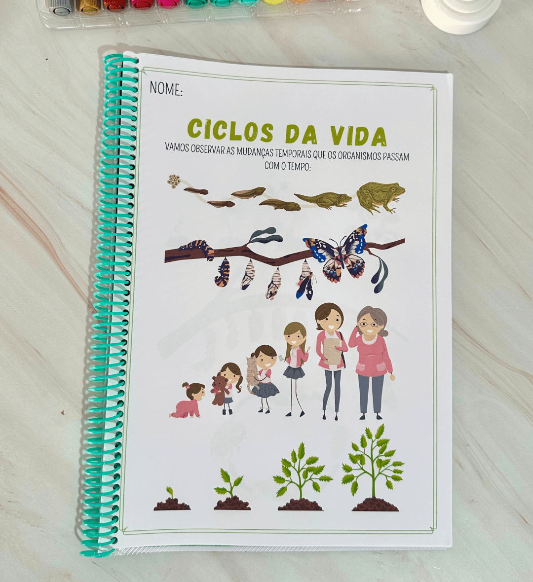 Sequência Temporal: Ciclo da Vida em PDF para Imprimir — amostra 2: O que vem no material