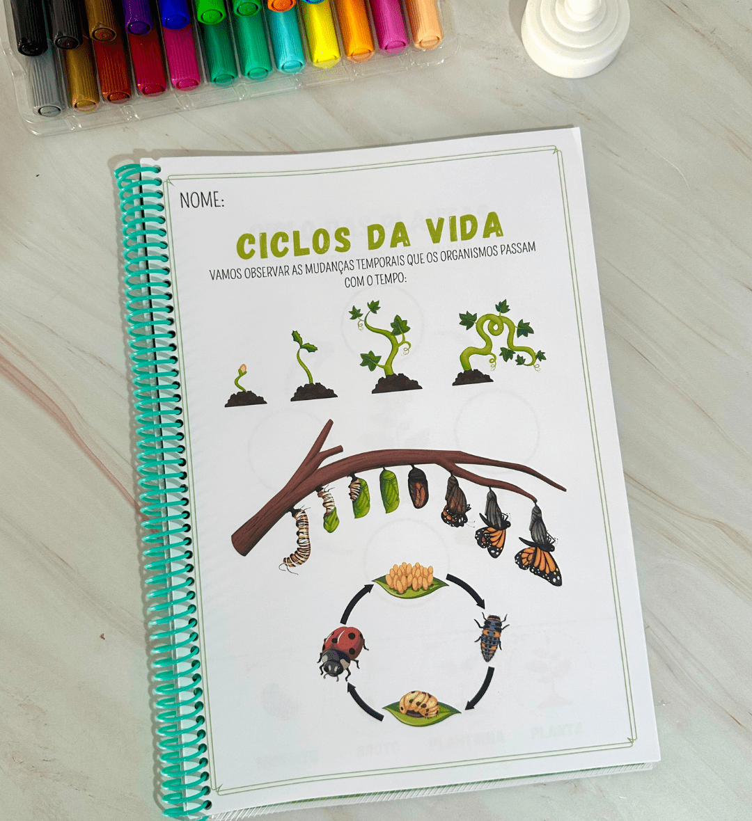 Sequência Temporal: Ciclo da Vida em PDF para Imprimir — amostra 3: Como usar em sala de aula