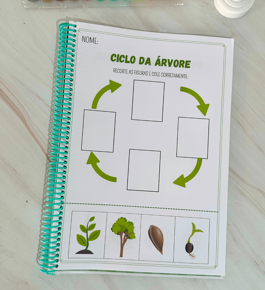 Sequência Temporal: Ciclo da Vida em PDF para Imprimir — amostra 4: Para quem é indicado