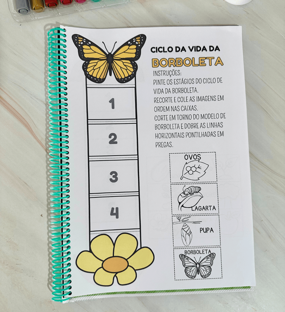Sequência Temporal: Ciclo da Vida em PDF para Imprimir — amostra 5: Trabalhe as etapas do ciclo da vida com atividades de…