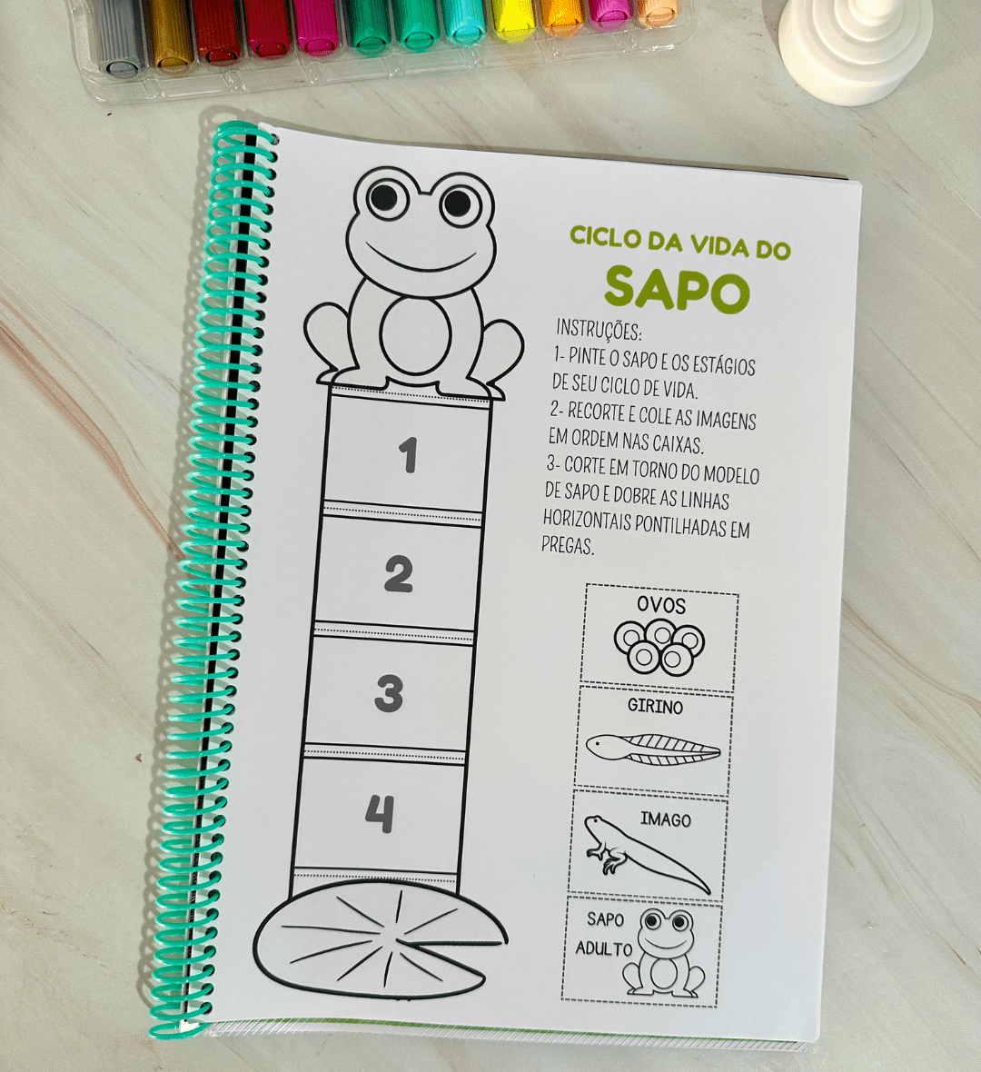Sequência Temporal: Ciclo da Vida em PDF para Imprimir — amostra 6: Trabalhe as etapas do ciclo da vida com atividades de…