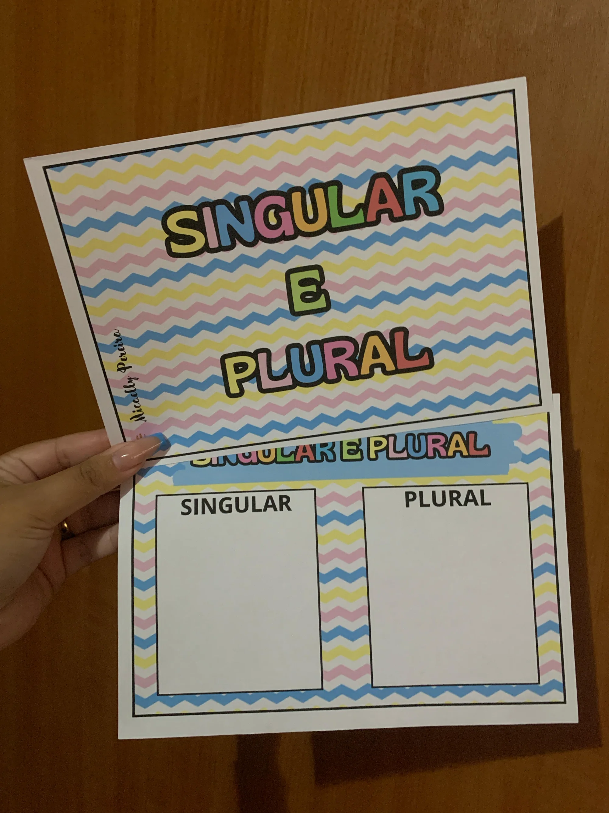 🌟📚 SINGULAR E PLURAL – ALFABETIZAÇÃO ANOS INICIAIS🔤🎯 — amostra 1: Transforme suas aulas de Língua Portuguesa em…