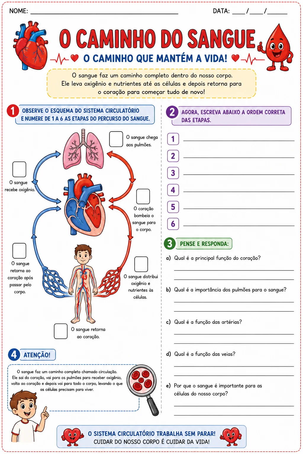 Sistema Circulatório – Material Completo e Explicativo | 5º Ano — amostra 6: Material completo e colorido sobre o Sistema…