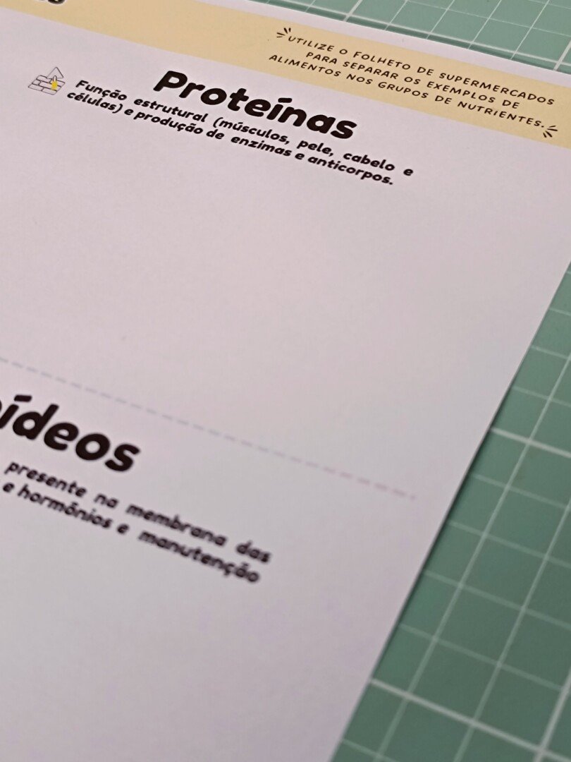 Sistema Digestório - Mapa Interativo – PDF para Imprimir — amostra 5: https://youtu