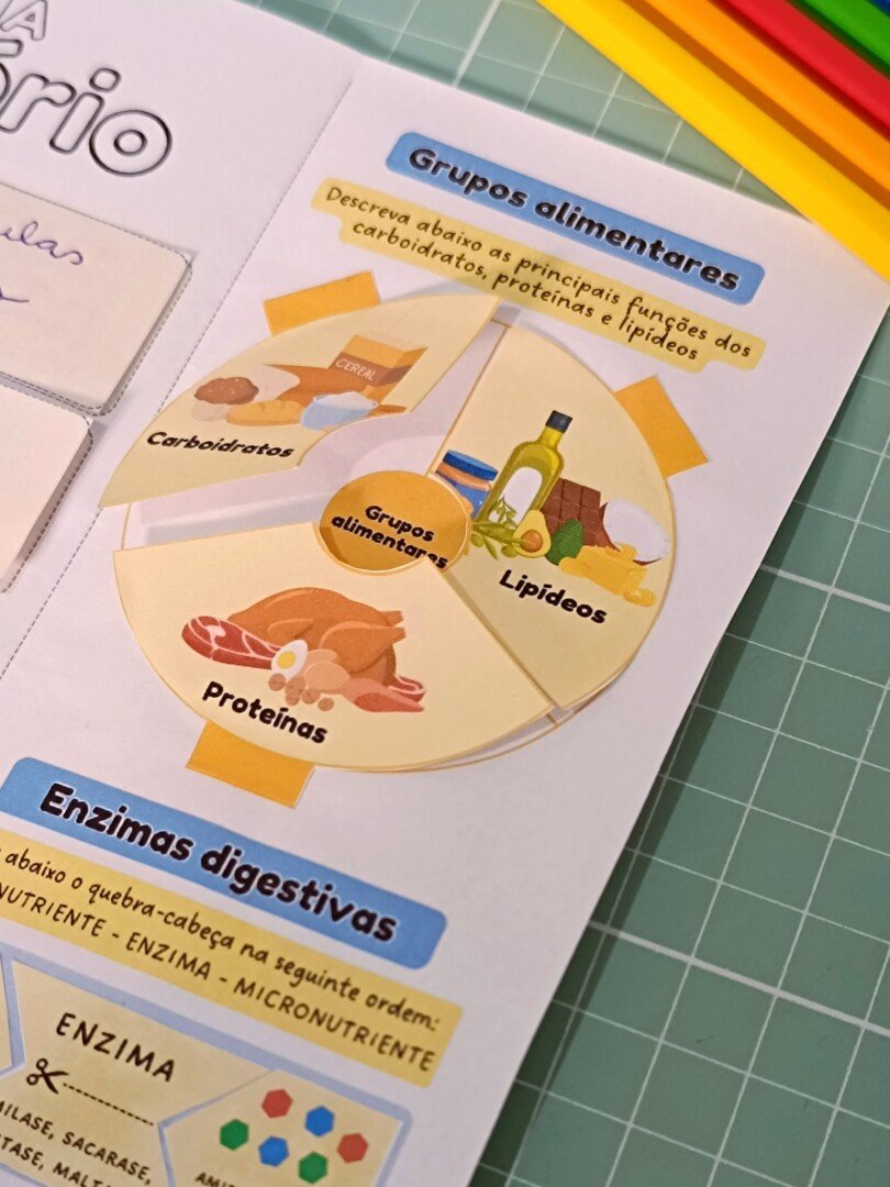 Sistema Digestório - Mapa Interativo – PDF para Imprimir — amostra 7: https://youtu