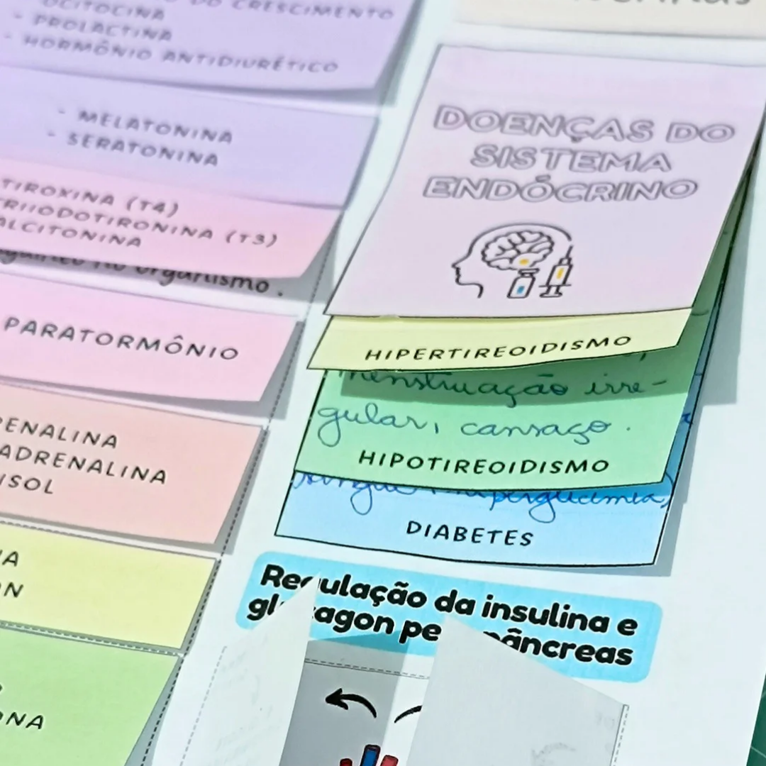 Sistema Endócrino - Mapa Interativo – PDF para Imprimir — amostra 1: O que vem no material