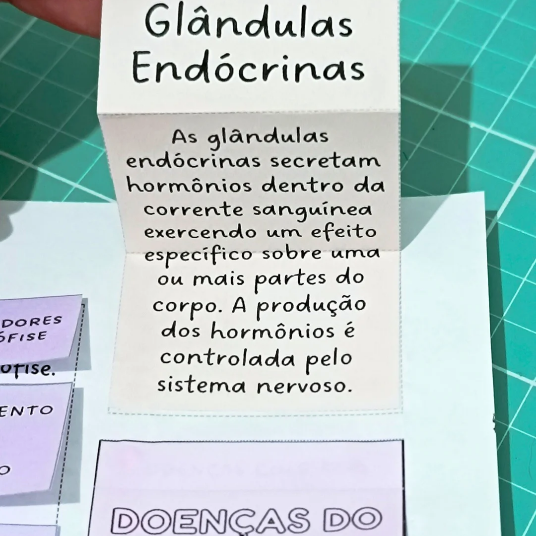 Sistema Endócrino - Mapa Interativo – PDF para Imprimir — amostra 3: Formato e entrega