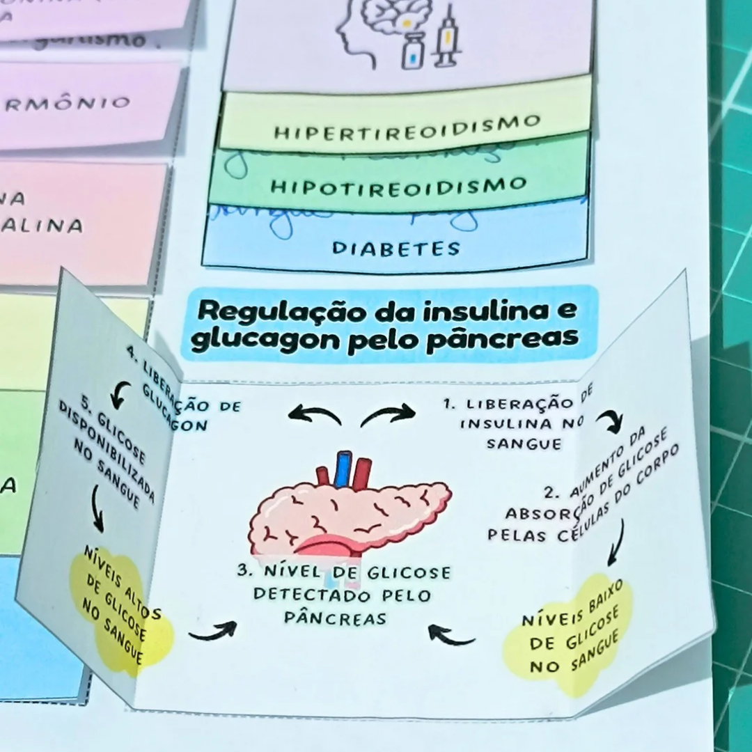 Sistema Endócrino - Mapa Interativo – PDF para Imprimir — amostra 4: Mapa interativo - Sistema Endócrino Material completo…