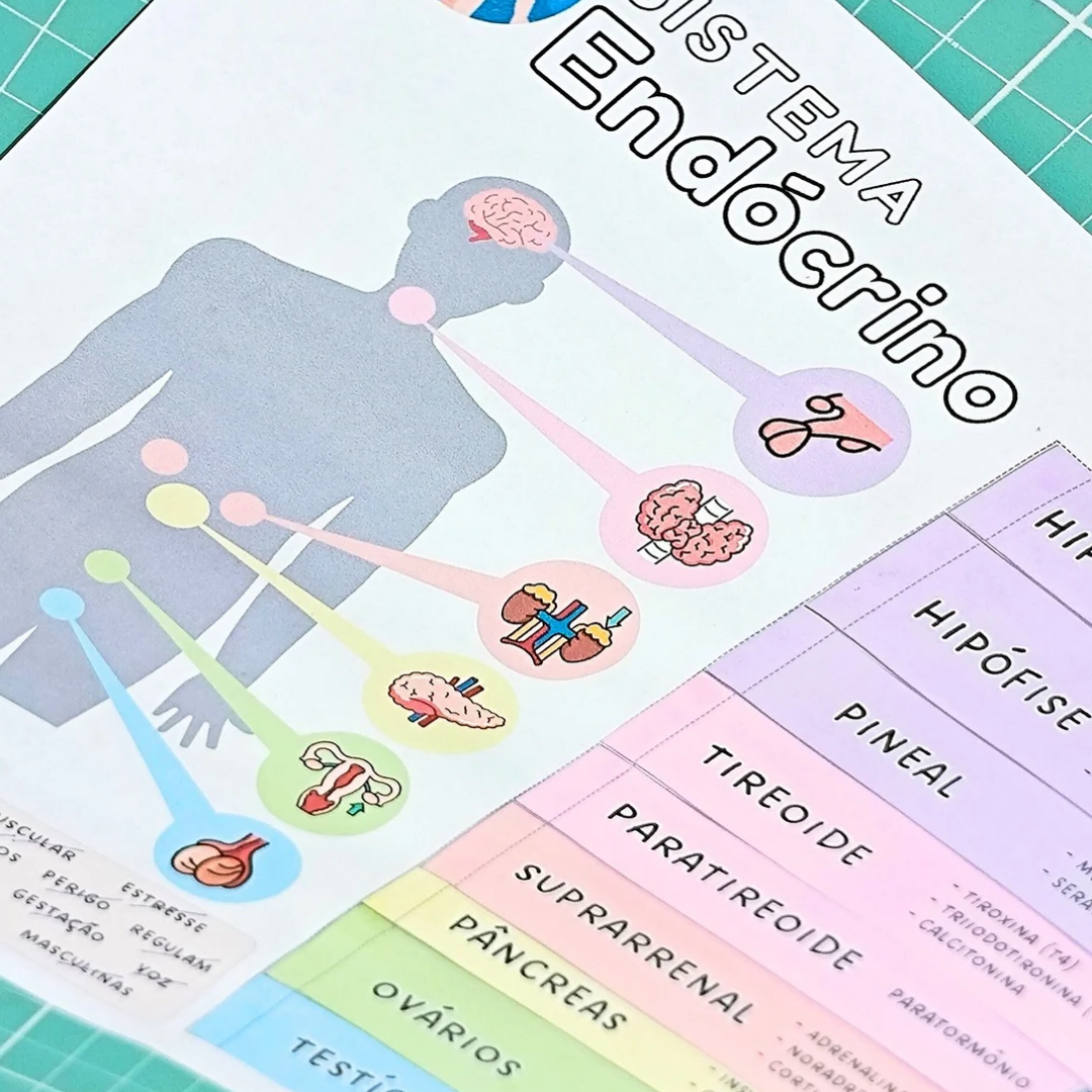 Sistema Endócrino - Mapa Interativo – PDF para Imprimir — amostra 7: Mapa interativo - Sistema Endócrino Material completo…