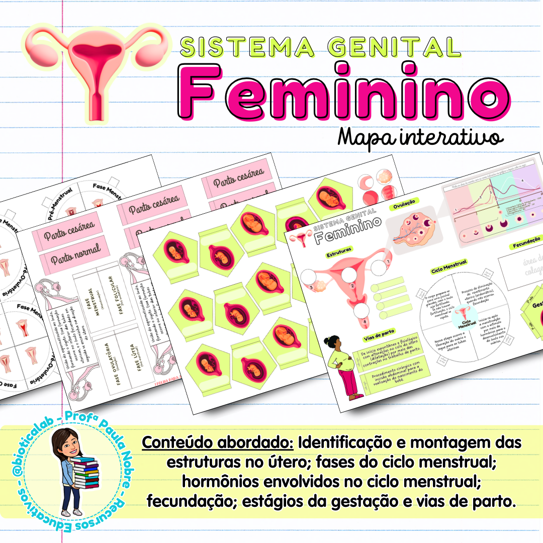 Sistema Genital Feminino - Mapa interativo – PDF para Imprimir — capa do material